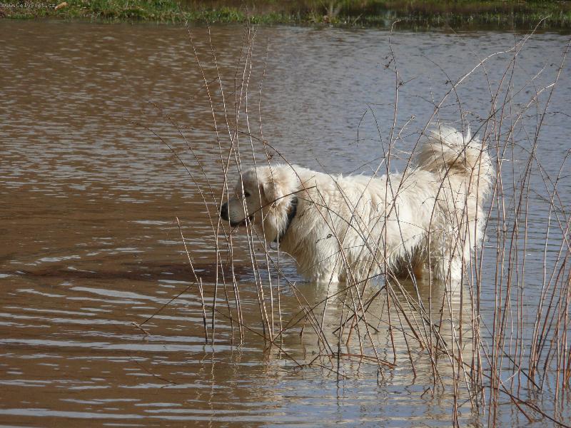 Foto: miluju ka�dou vodu