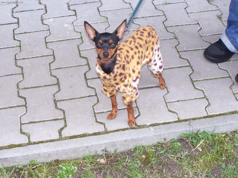 Foto: Na�e sle�inka