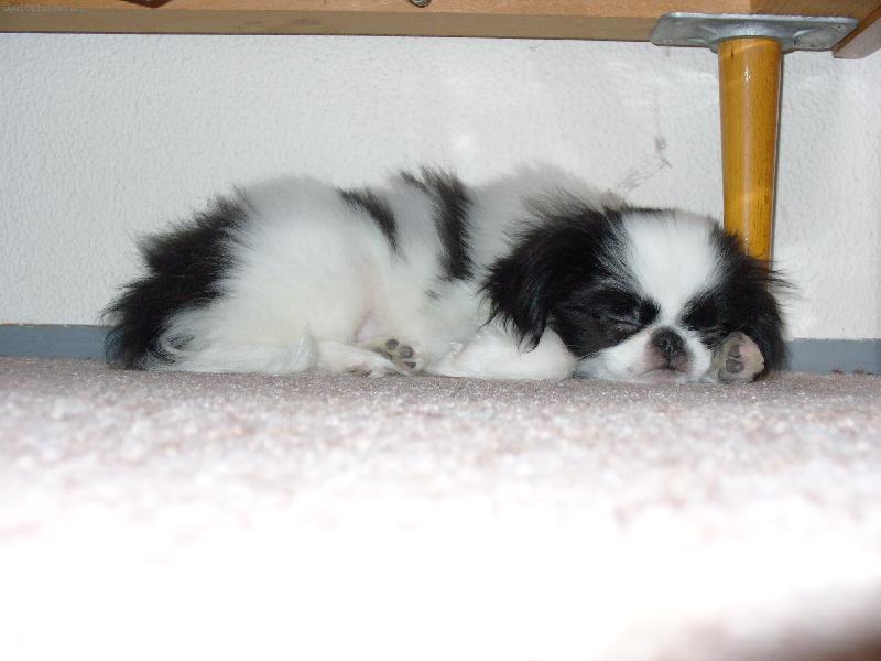 Foto: Co se ti tak asi zd� ??