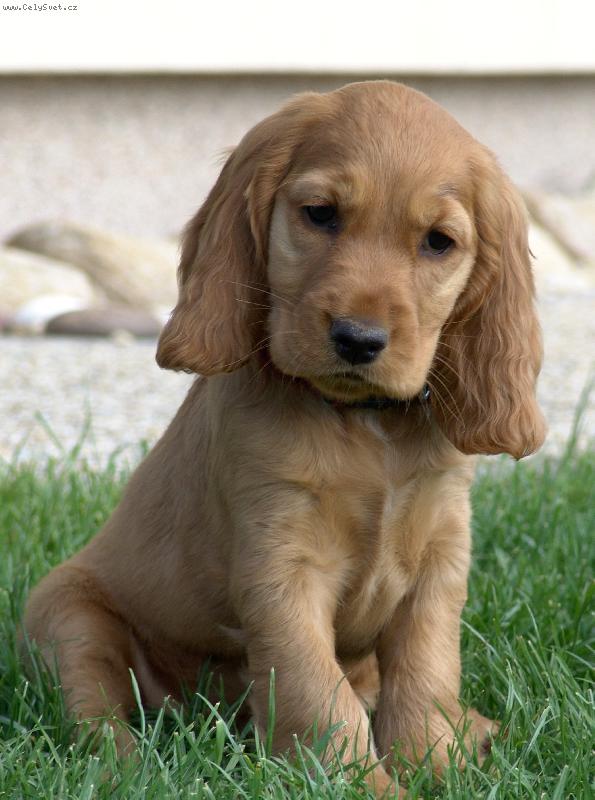 Foto: Amy-????????? 7 t�denn� Amy