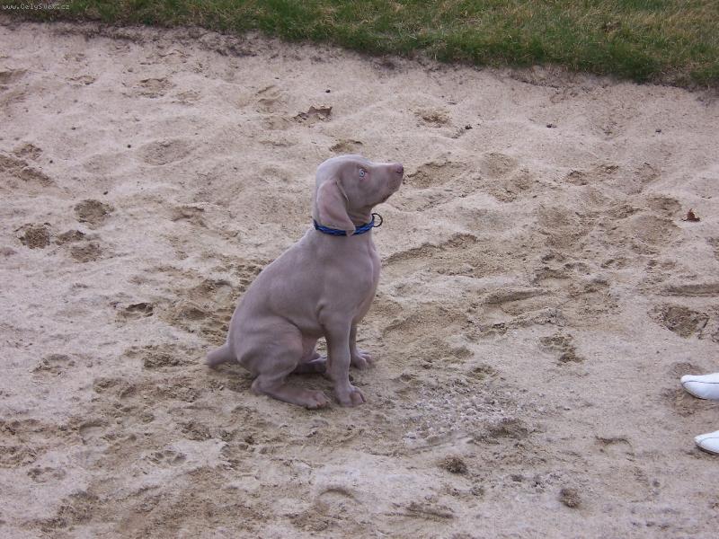 Foto: Caesar-Chytr� kluk