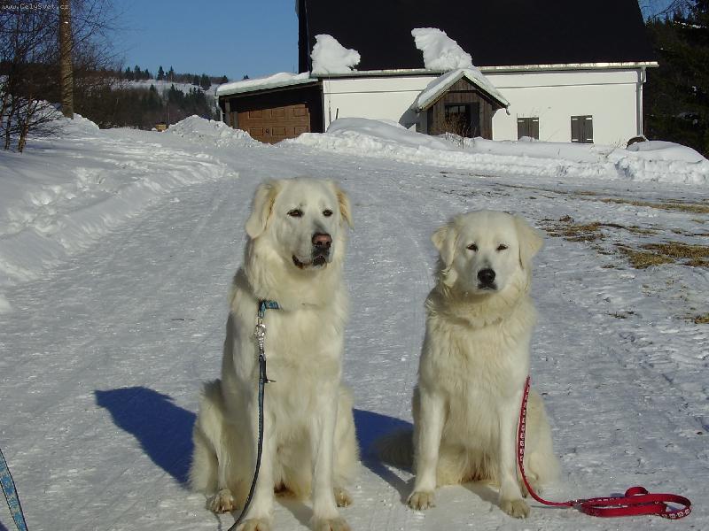 Foto: Ned�ln� vych�zka