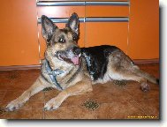 Britu�ka 12 let a 4 m�s�ce :-)