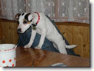 Agnes by si dala n�co dobr�ho