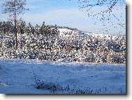 trocha leto�n�ho sn�hu