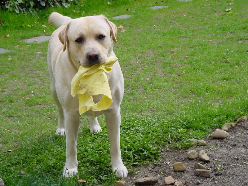 Foto: Uklid-Dnes se neukl�z�???