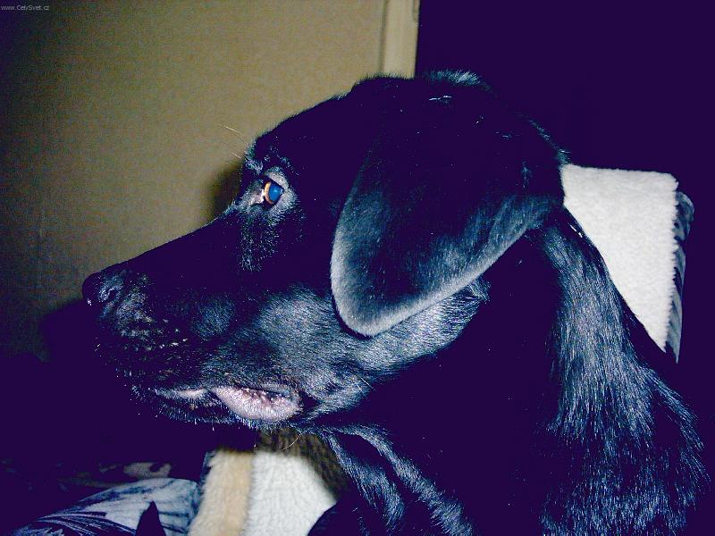 Foto: m�j profil v 6 m�s�c�ch