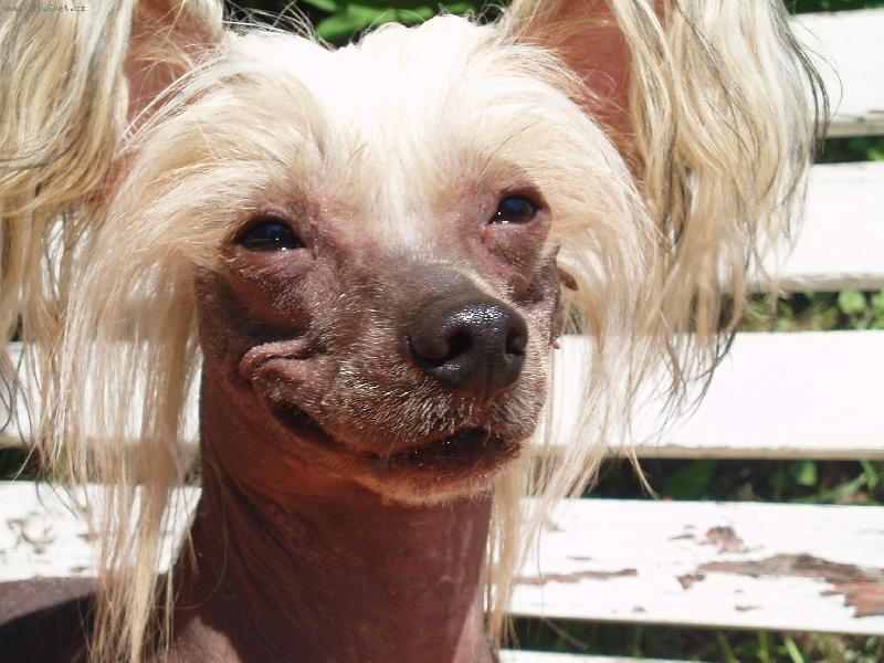 Foto: �sm�v pros�m