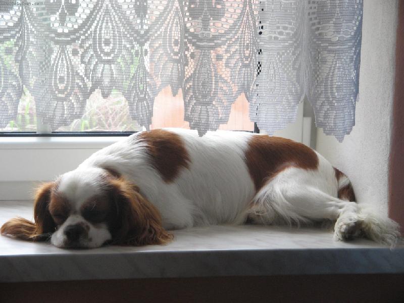 Foto: leh�ro-vyd�m na v�echny