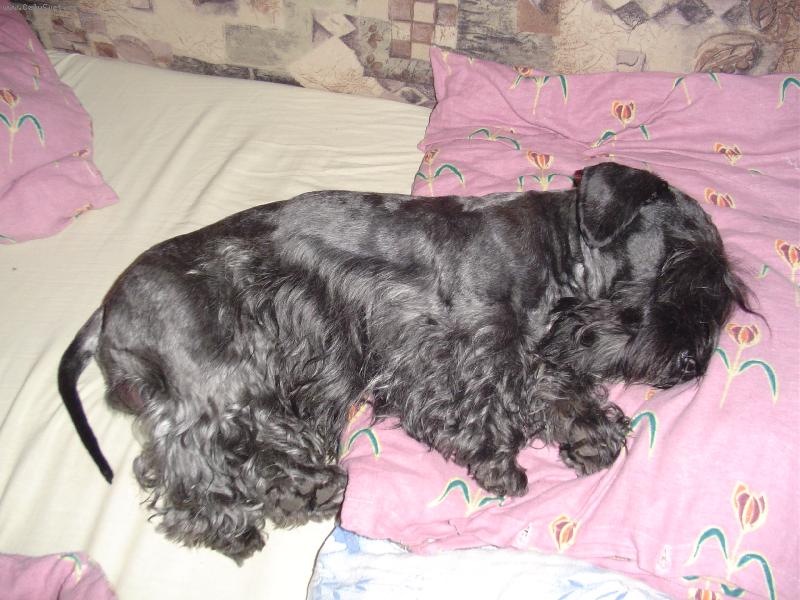 Foto: HAJAJ����