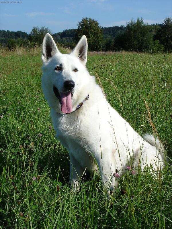 Foto: letn� pohoda