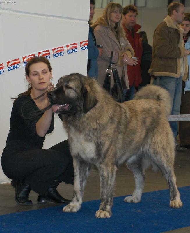 Foto: Jch.Elita Erudit