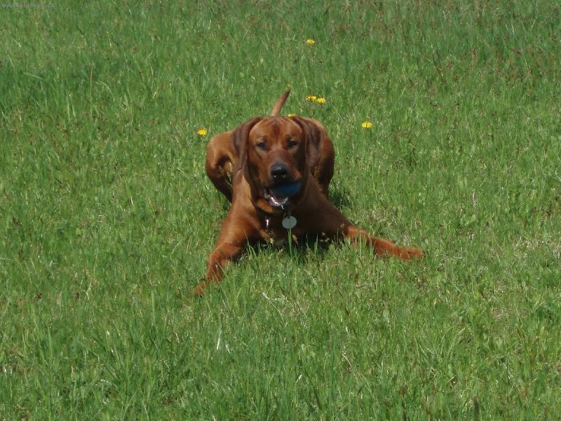 Foto: Dag v z�palu hry