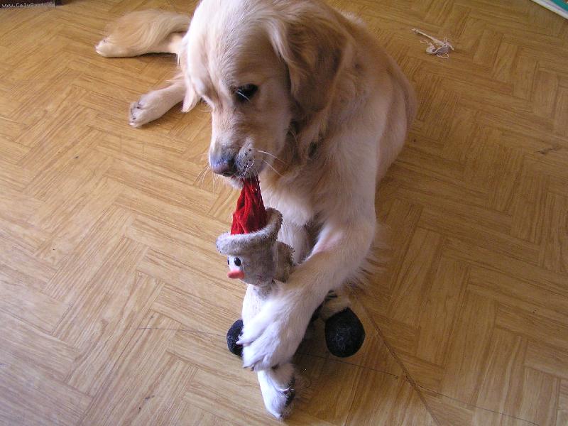 Foto: V�ak j� ti tu n�dheru nakonec sund�m!-U� se chyst�me na V�noce.