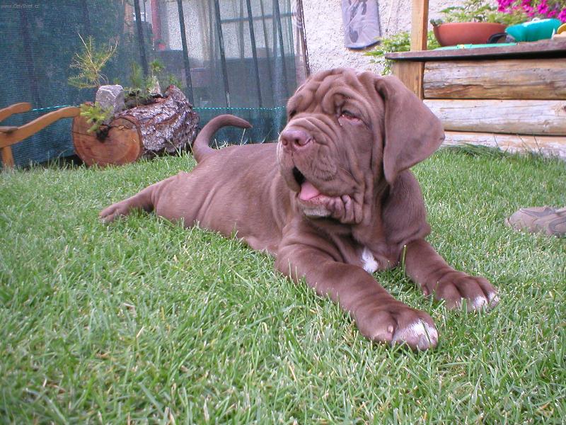 Foto: par�da-to jsem je�t� nevid�la