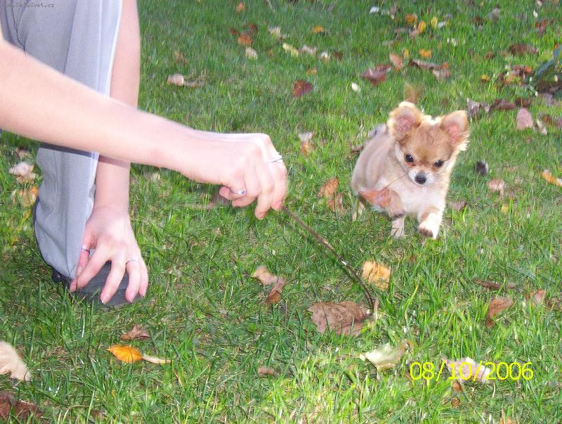 Foto: Kuba v akci-miminko ;o)