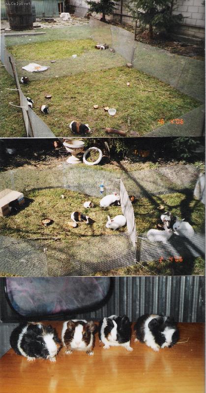 Foto: Mor��tka-Na�e mor��tka