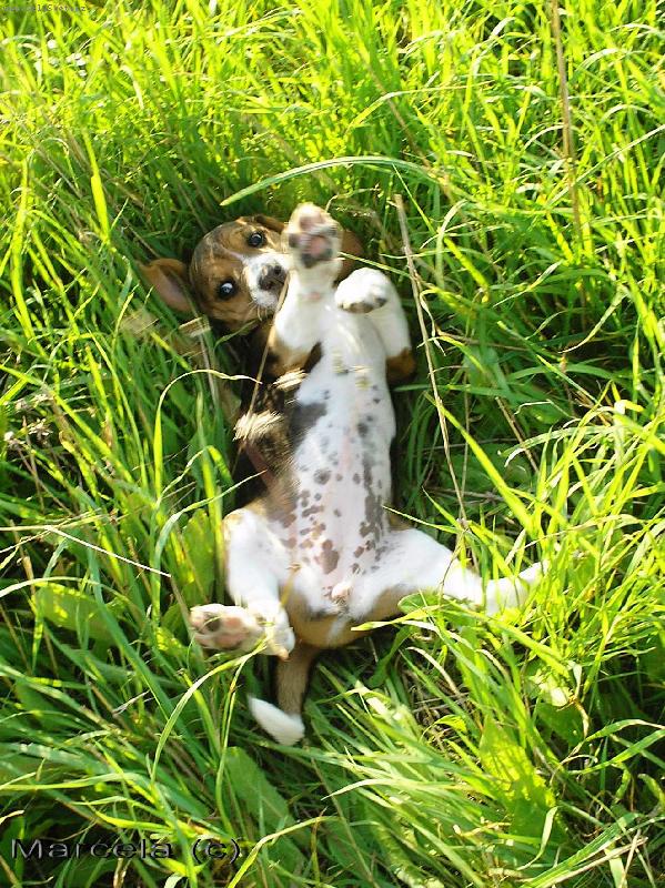 Foto: b��ko-to je ale b��ko