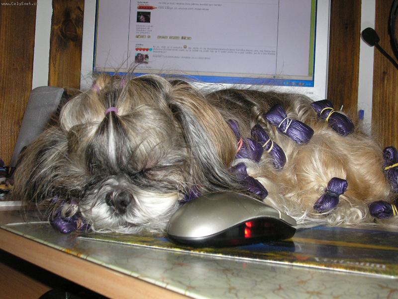 Foto: Tobynko-Dobr� noc