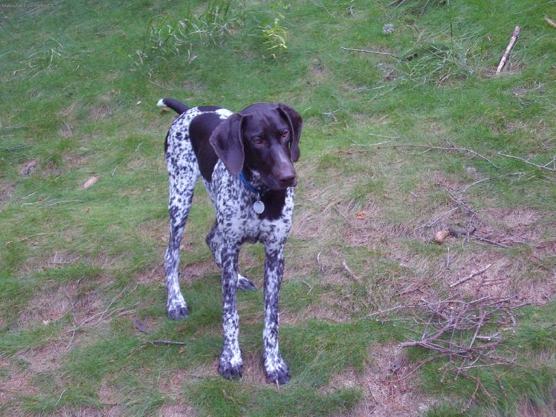 Foto: Cirra Lavare Moravia-Afrunka:-*