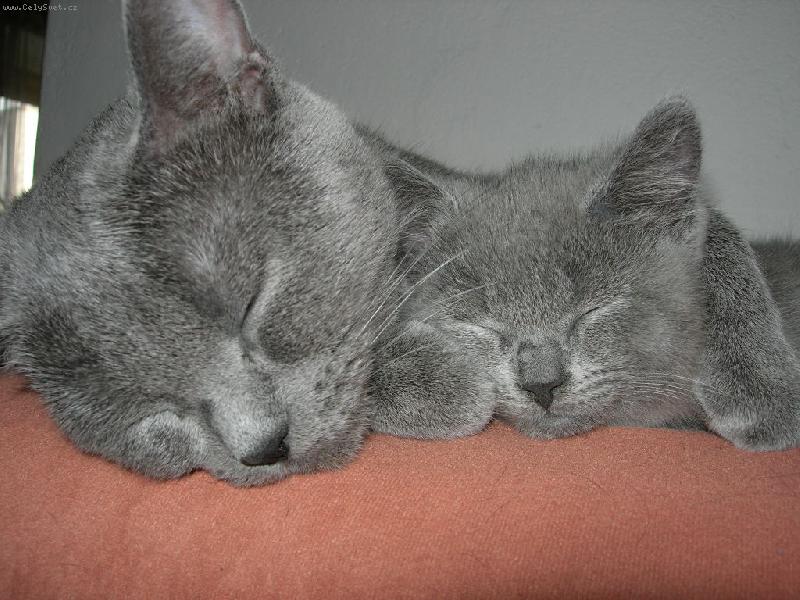 Foto: Mazlik-S maminkou