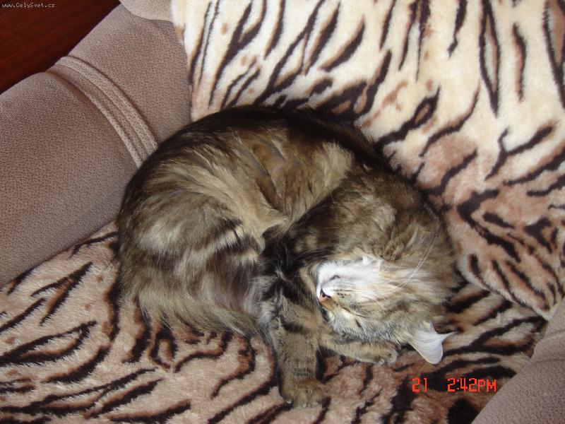 Foto: Mat�sek-Mat�sek spink�