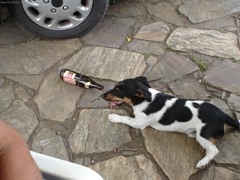 Foto: Dopito!-Tak douf�m, �e si s dal�� posp��...