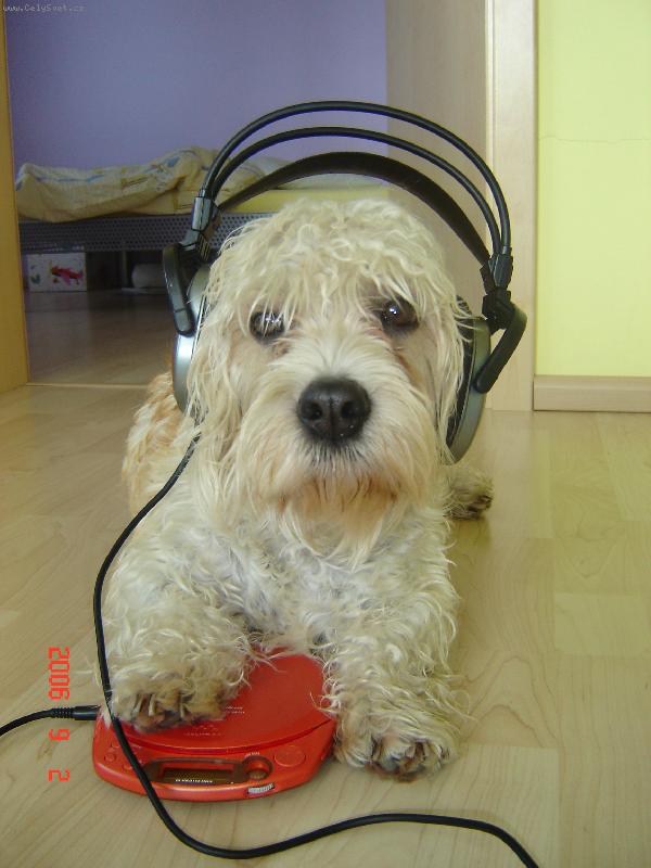 Foto: M�m tu nejlep�� muziku!!!