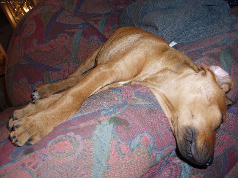 Foto: Prost� sp�m.....