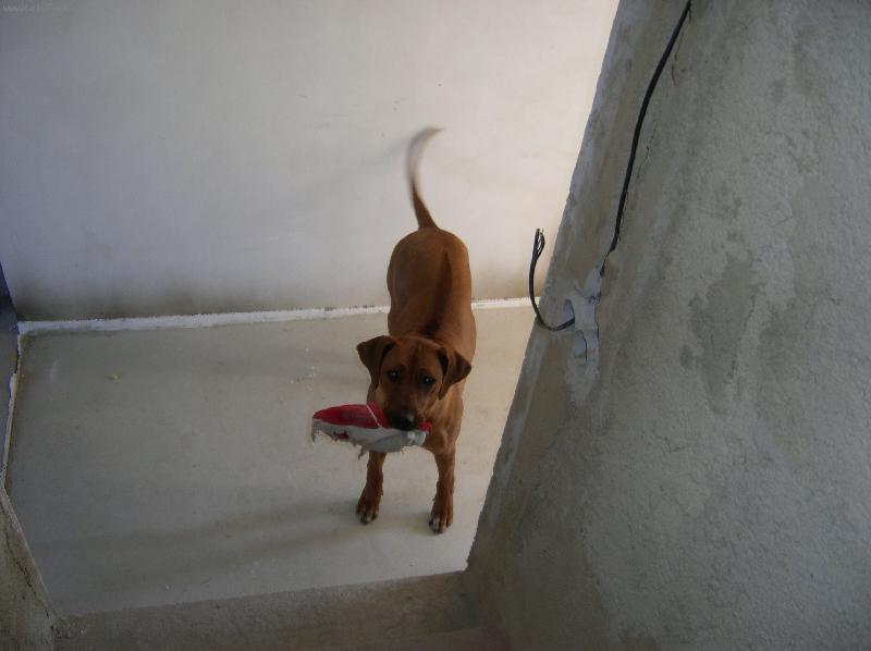 Foto: Dreeny-Neztratil n�kdo papu�?