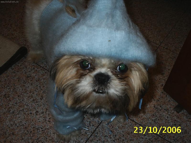 Foto: A muzem vyrazit-SALINKA