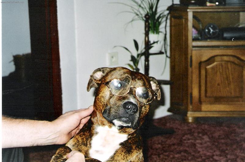 Foto: Co dodat...-chvilka poezie