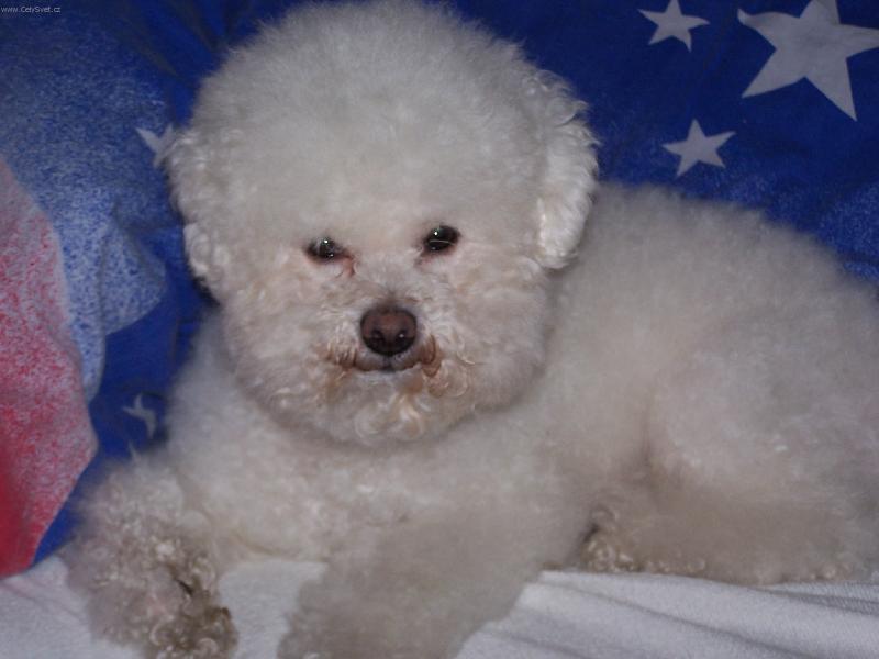 Foto: CHlup��-Krasavec