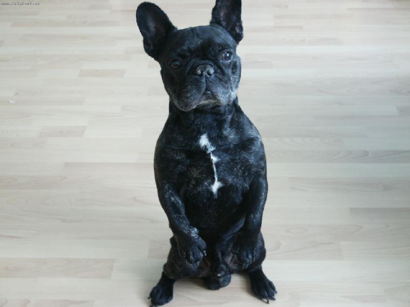 Foto: Dej mi taky...