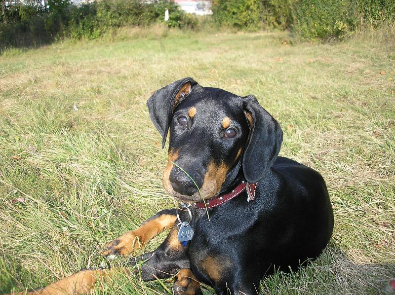 Foto: Venku na proch�zce-Sorbon