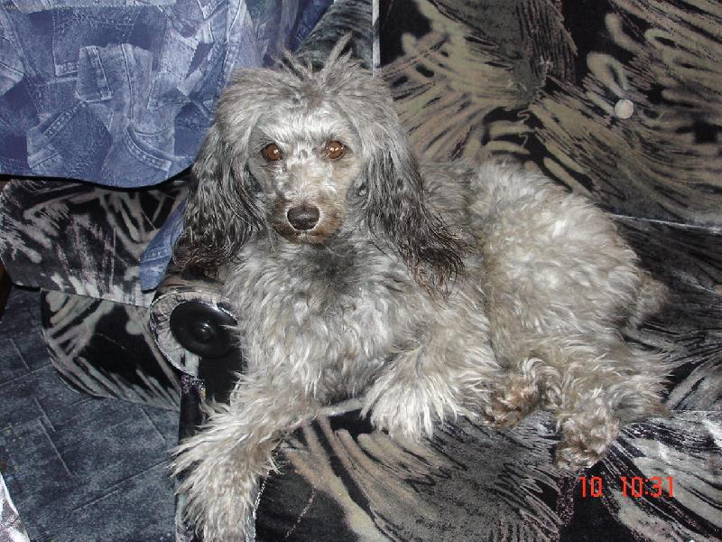 Foto: Pudl M�a-Siesta