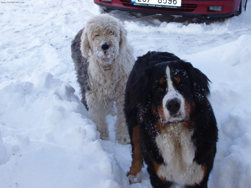 Foto: Lusynka s Andy-b�ezen 2006