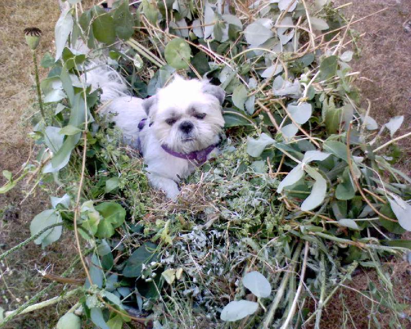 Foto: Edou�ek-r�d se voz�