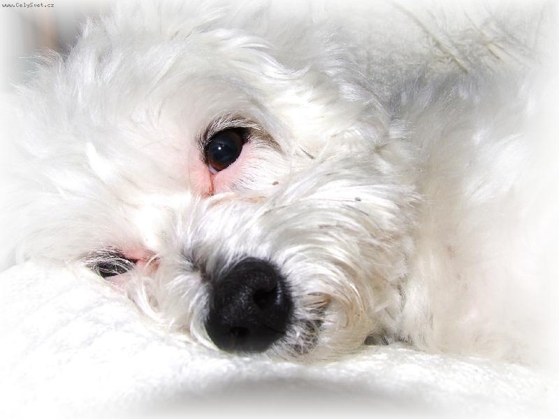 Foto: Odpo��v�m