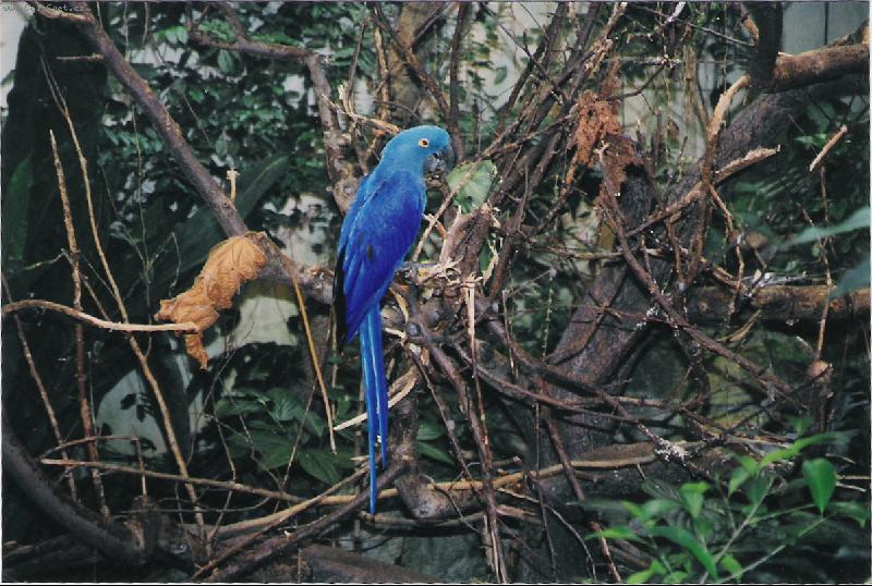 Foto: Terarium-Montreal