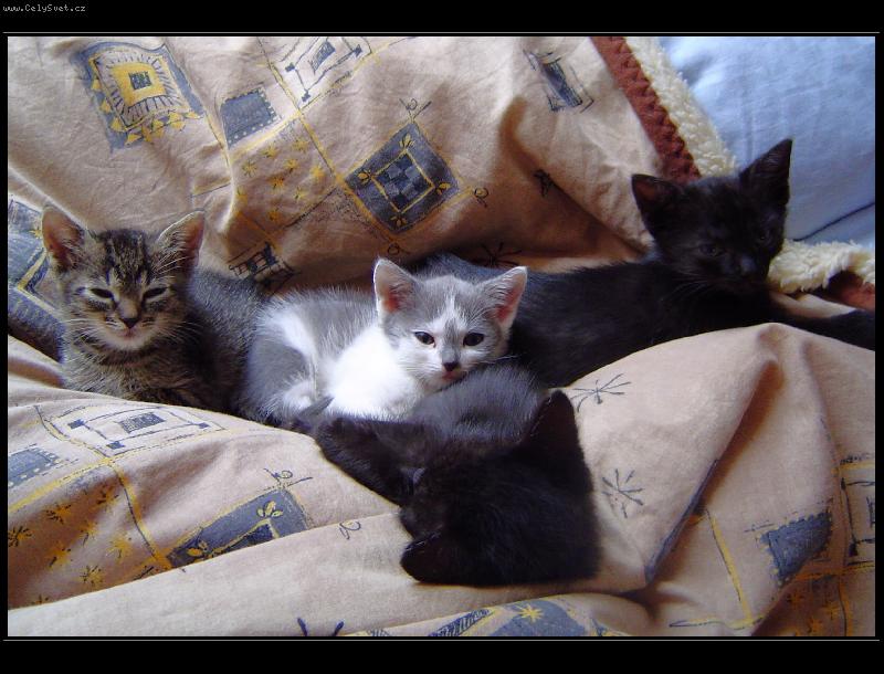 Foto: Generation next