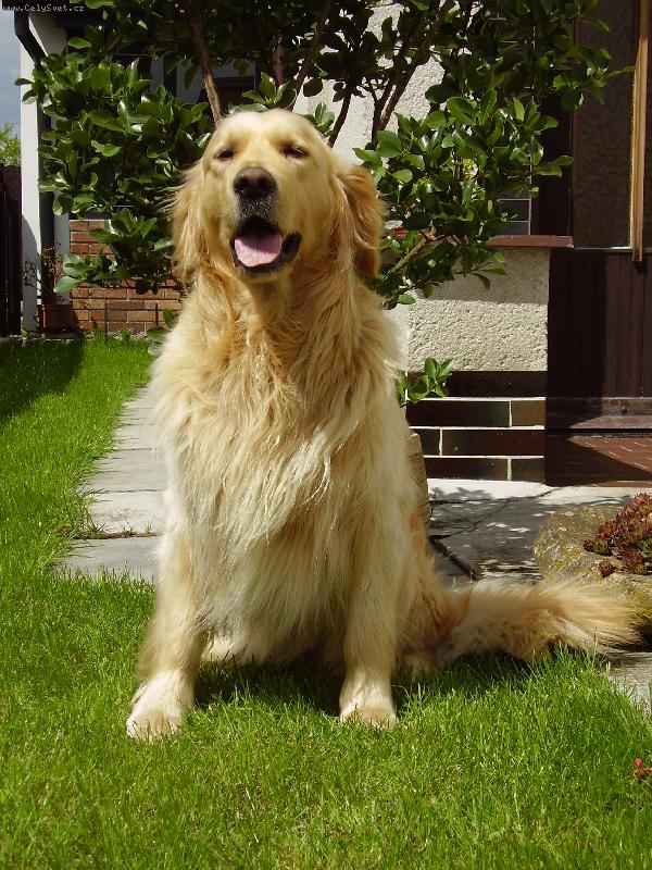 Foto: Ba�ek hl�d�