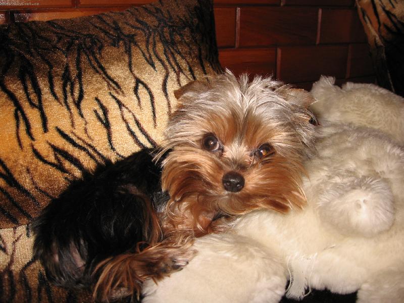 Foto: Endy-Endy hajink�