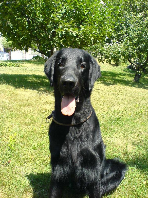 Foto: Delfi Dan Lenfir-to jsem j�:-)