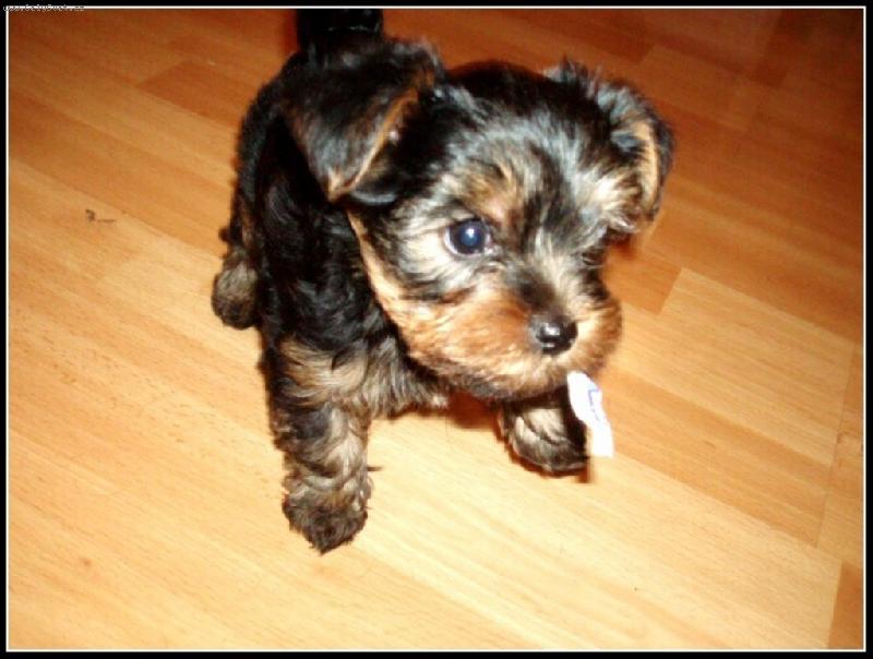 Foto: Das si cigaretku?