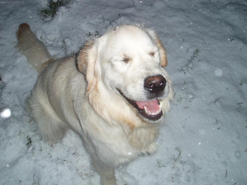 Foto: To stud� a j� se fotit nechci.. :)