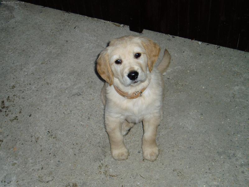 Foto: Zv�dav� Max�k