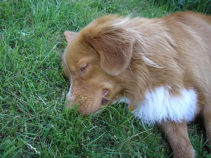 Foto: J� tady nejsem