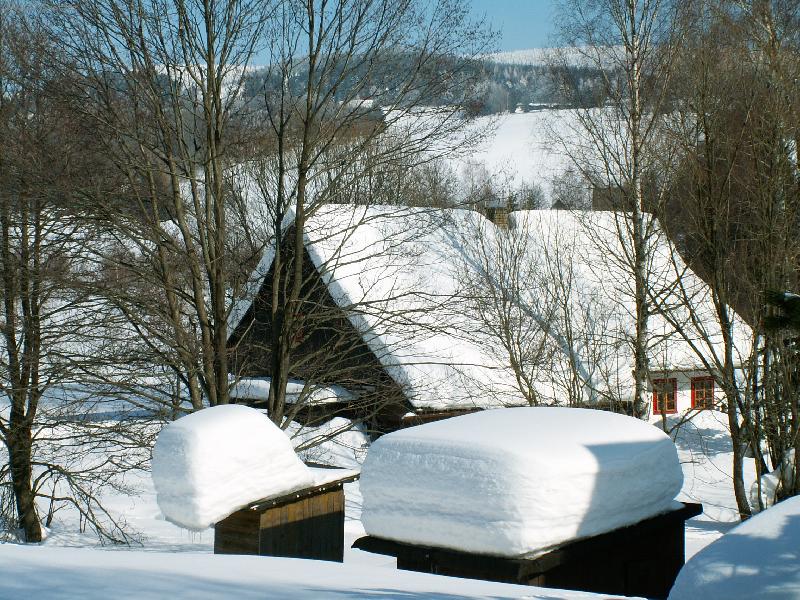 Foto: Do�k�me se ???-Orlick� hory - b�ezen 2006