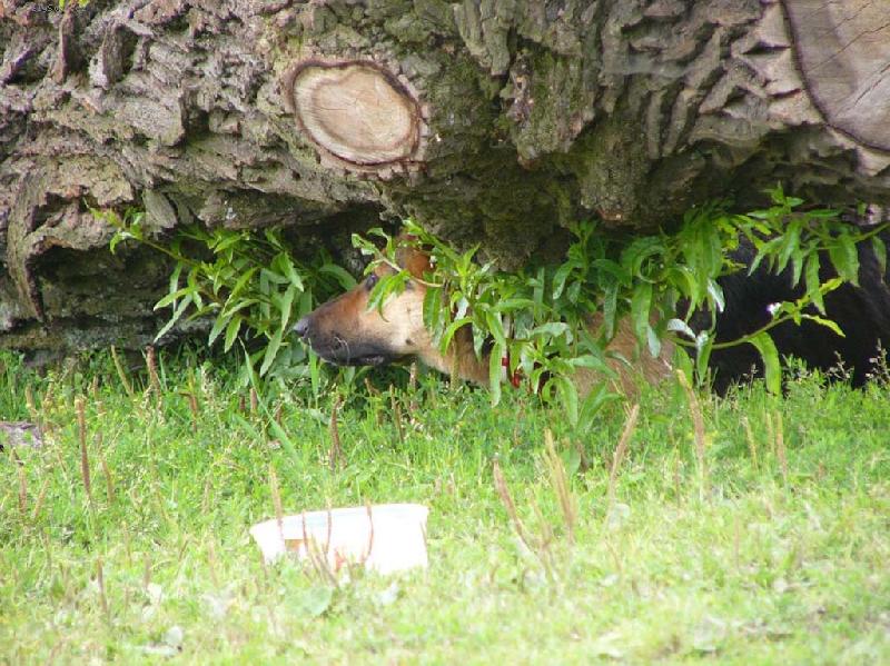 Foto: nen� se �eho b�t-Elinka